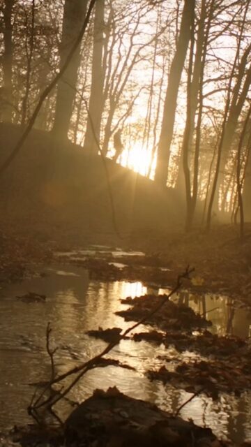 VANISHING ACT

#loureed 
#vanishingact 
#moviescenes